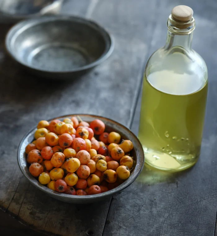 ALIÇ SİRKESİ YAPIMI